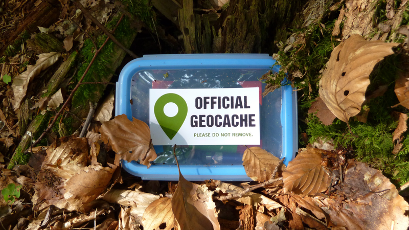 Geocaching box in forest